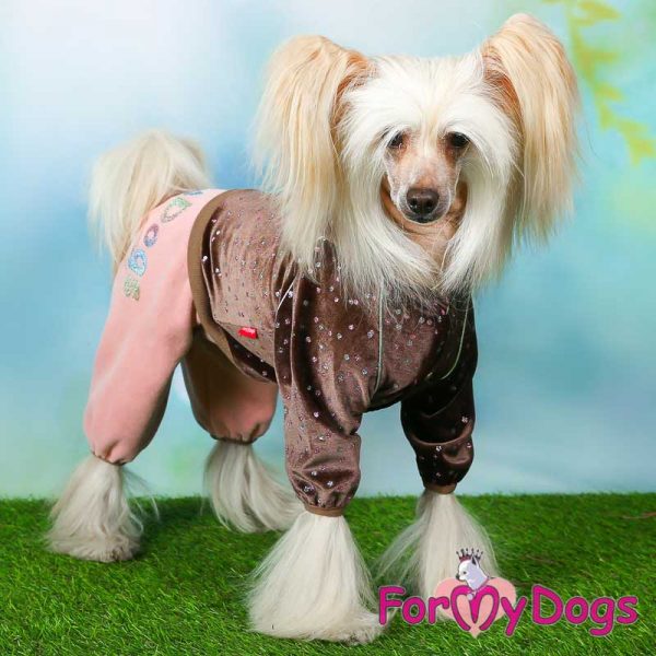 suit for dogs in brown kc-007