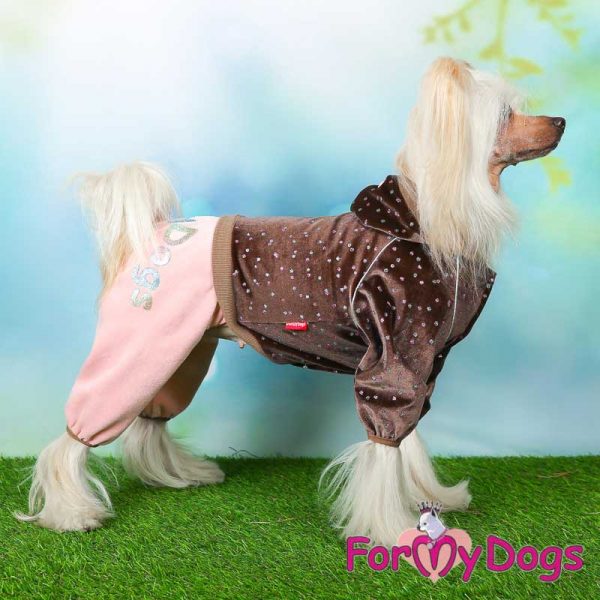suit for dogs in brown kc-007