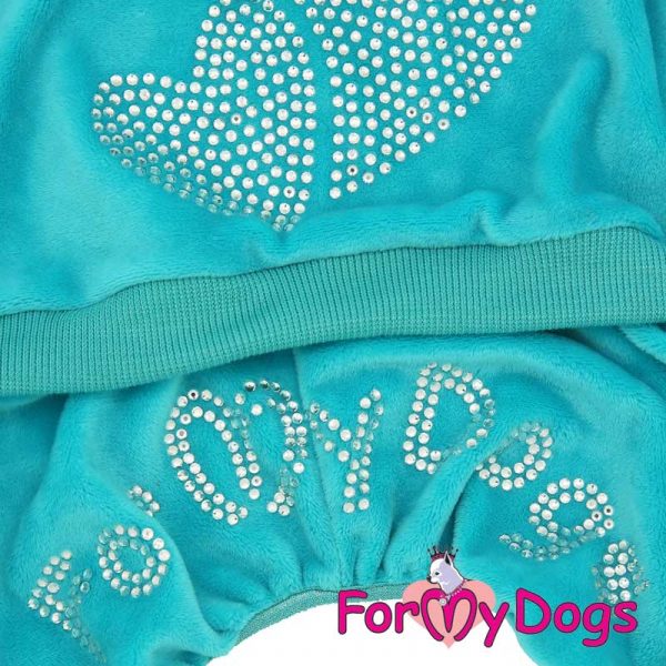 suit for dogs in turquoise kc-008