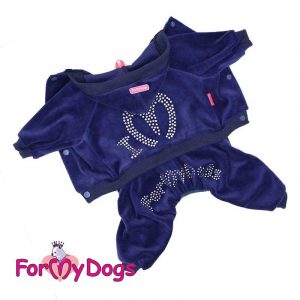 suit for dogs in blue kc-010