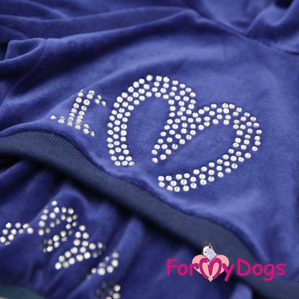 suit for dogs in blue kc-010
