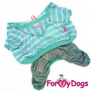 suit for dogs kc-017