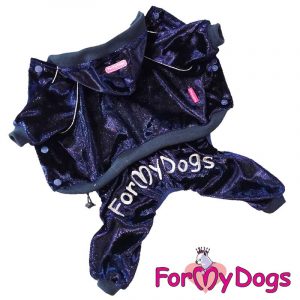 suit dogs in dark blue kc-018