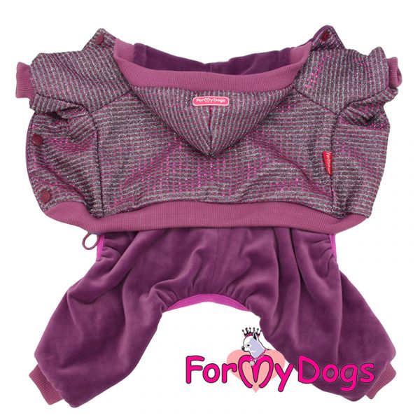 velour suit for dogs in purple kc-019